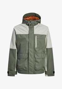 Sélectionné, agave green