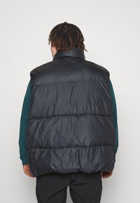 Chaleco inflado negro con cuello alto, que presenta secciones acolchadas y una textura brillante y suave. Llevado sobre una prenda verde.