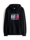 REG FLAG - Mikina - black
