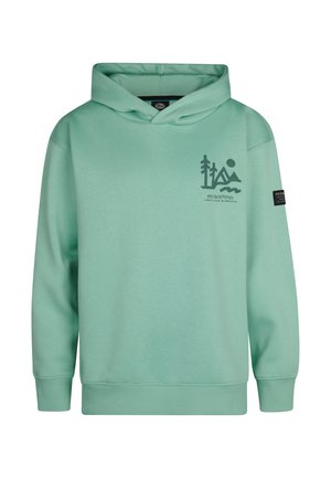 Mintgrüner Hoodie aus einem Baumwollmix. Mit einem Frontgrafik-Design von abstrakten Bergen und Wasser sowie einem schwarzen Logo-Patch am Ärmel.