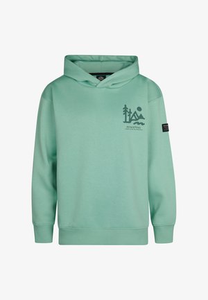 Hanorac verde mentă fabricat dintr-un amestec de bumbac. Prezintă un grafic frontal cu munți abstracti și apă, plus o etichetă cu logo negru pe mânecă.