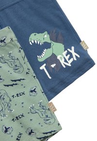 Dos pares de pantalones cortos de algodón; uno es azul marino con un gráfico de T-Rex, y el otro es verde con ilustraciones repetidas de T-Rex y motivos de rayos.