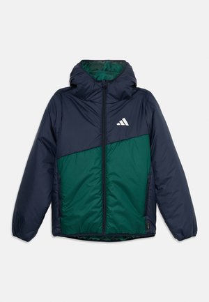 adidas Terrex, REVERSIBLE INSULATED JACKET UNISEX - Winterjas - legend ink