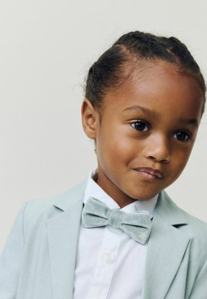 Malo dijete s pletenicama, odjeveno u svijetlosivu odijelu, bijelu košulju i odgovarajuću sivu leptir-mašnu, gleda blago u stranu.