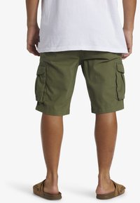 Quiksilver CRUCIAL BATTLE WALK - Šortky - gph0