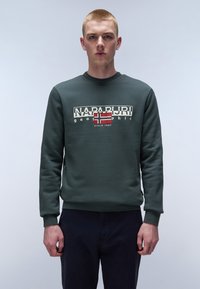 Napapijri AYLMER WINT - Sweater - green urban