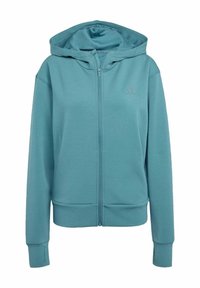 HOODIE - Majica s kapuljačom i patentnim zatvaračem - preloved teal