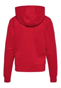 Rode hoodie met een zachte textuur, een ruime capuchon en ribgebreide manchetten en zoom. De achterkant is glad zonder extra details.