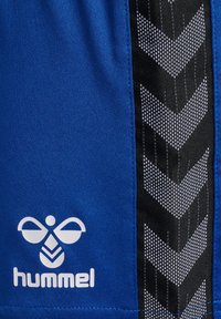 Blauwe atletische shorts met een zwarte zijpaneel met een visgraatpatroon en een wit logo aan de zoom. Gladde stoftextuur.