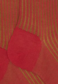 Rot-grün gestreifte Socken mit einer glatten Textur, verstärktem Fersenteil und Zehenbereich sowie einem gerippten Bündchen für Komfort und Passform.