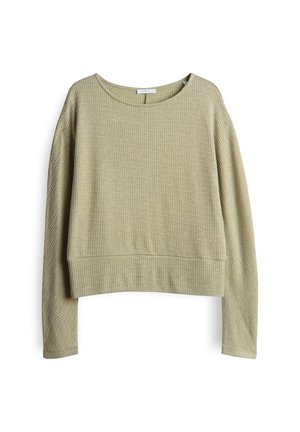 Lichtgroene, getextureerde sweatshirt met lange mouwen, ronde hals en cropped ontwerp. Bevat een subtiel wafelpatroon en een elastische zoom.