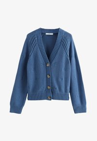 Pasirinkta, blue floral embroidered