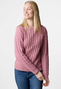 TAMPA CABEL  - Jumper - dusty rose