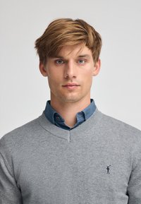 Maglione grigio a maglia con scollo a V e dettagli a coste, indossato sopra una camicia blu con bottoni. Presenta un piccolo logo sul petto.