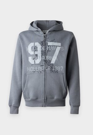 Hollister Co., MALLCORE SLIM - Φούτερ με φερμουάρ - grey