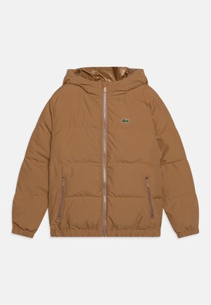 Veste matelassée à capuche marron avec fermeture éclair avant, deux poches zippées, poignets élastiques et petit logo crocodile vert sur la poitrine.