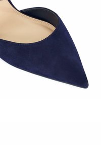 Navy suede pointed-toe pump with a smooth beige insole and a sleek low-cut design. Featuring a minimalist silhouette and clean lines.