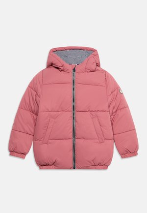 Petit Bateau, PETIT DOUDOUNE - Veste d'hiver - new cheek
