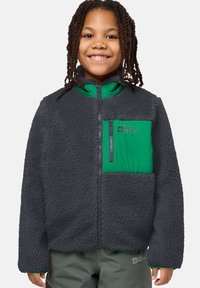 Grijze fleecetak met groene accenten op de kraag en zak. Voorzien van een ritssluiting aan de voorkant en een logo op de zak. Zacht, gemêleerd stof.