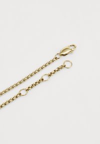 Cadena de oro con eslabones de acabado suave, broche de langosta y anillos circulares para sujeción. Superficie metálica reflectante.