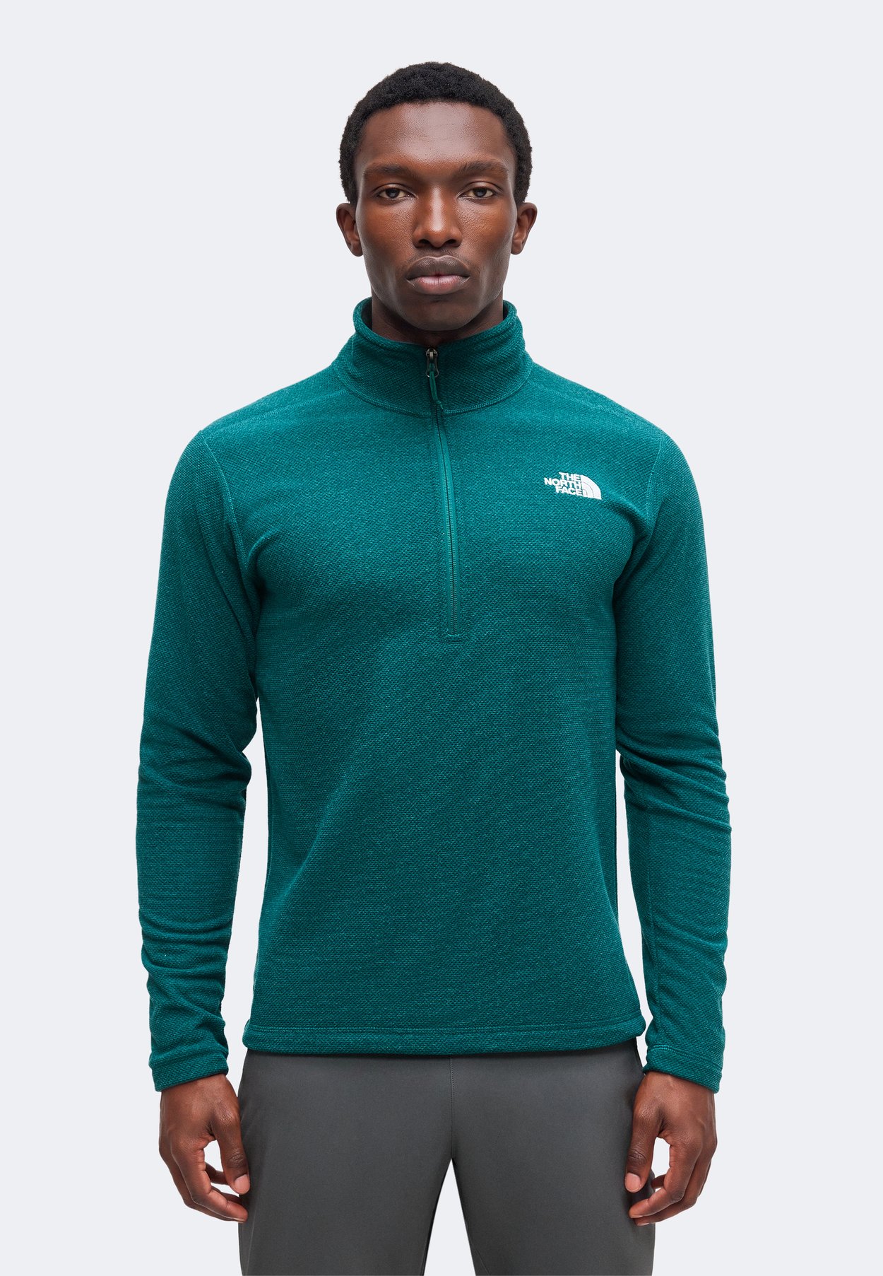The North Face TEXTURED CAP ROCK 1/4 ZIP - Fleece jumper - pacific teal heather