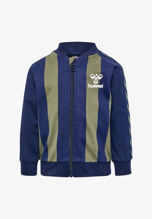 Blauwe ritsjas met groene en blauwe verticale strepen, ribgebreide mouwen en logo op de borst. Zachte stof met een gladde textuur.