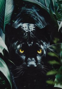 Musta pantteri, jolla on vaikuttavat keltaiset silmät, osittain piilossa rehevän vihreän kasviston takana. Ominaisuuksiin kuuluu suloinen karva ja erottuvat kasvomerkinnät.