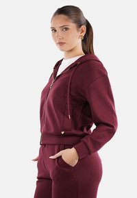 Felpa con zip borgogna, dotata di tasca frontale e hardware in tonalità oro. Tessuto morbido, vestibilità rilassata e cappuccio con cordino regolabile.
