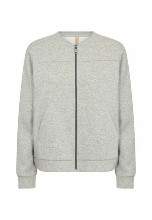 Šviesiai pilkas zip-up bomber jaketas, pagamintas iš minkštos medžiagos, su apvaliu kaklu, raukšlėtomis rankovėmis ir dviem šoniniais kišenėmis. Paprastas ir funkcionalus dizainas.