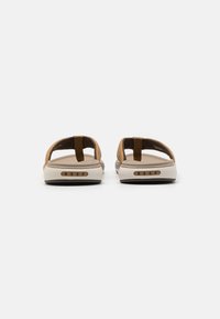 Reef CUSHION NORTE - Sandalias de dedo - tan