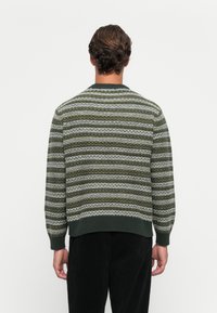 Mężczyzna z krótkimi falującymi włosami, noszący sweter w zielono-biało-szary prążkowany wzór, stoi tyłem na jednolitym tle.