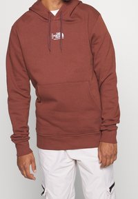 The North Face Jersey con capucha - dark brown