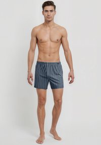 Blue and white striped swim shorts with an elastic waistband, made of lightweight fabric, featuring a classic fit and mid-thigh length.