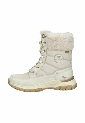 Snowboots  - ice