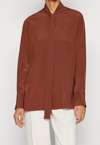 Blouse en soie marron avec un col, des manches longues et un détail à nouer au niveau du cou. Présente une texture lisse et un ourlet droit.
