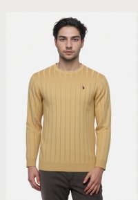 Tânăr cu păr închis la culoare, purtând un pulover bej cu linii, și pantaloni închiși, stând în fața unui fundal alb simplu.