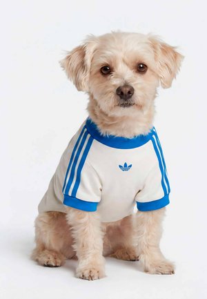 adidas Originals, PET CALI TEE UNISEX - Αξεσουάρ για κατοικίδια - off white bluebird