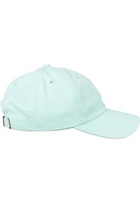 Hellgrüner Baseballcaps aus Baumwolle mit einem gebogenen Schirm, genähten Details und einem verstellbaren Metallverschluss auf der Rückseite.