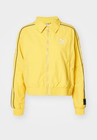 Selected, fresh pear