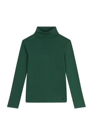 Groen langwerpig turtleneck-top gemaakt van een zachte, rekbare stof. Heeft een hoge kraag en een aansluitende silhouette zonder patronen of versieringen.