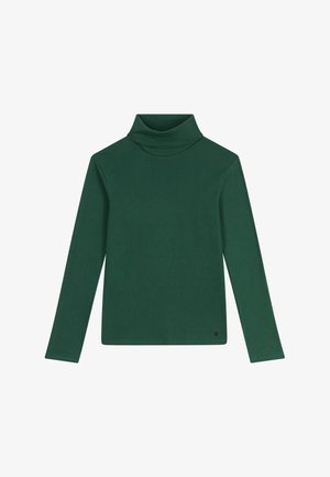 Grünes langärmliges Rollkragenoberteil aus einem weichen, dehnbaren Stoff. Verfügt über einen hohen Kragen und eine taillierte Silhouette ohne Muster oder Verzierungen.