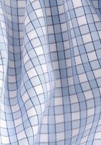 SIGNATURE EGYPTIAN - Vapaa-ajan kauluspaita - blue check