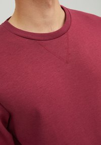 Felpa color bordeaux con un collo rotondo a costine, caratterizzata da un dettaglio a V sul petto e un tessuto liscio e testurizzato.