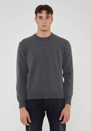 Giovane uomo con capelli corti e ricci che indossa un maglione girocollo grigio scuro e pantaloni neri, in piedi davanti a uno sfondo chiaro e uniforme.