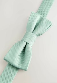Next STANDARD - Fluga - light green