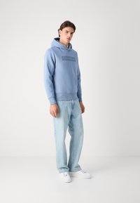 Calvin Klein BOX STRIPED LOGO HOODIE - Kapucni - troposhere