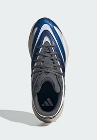 Sneaker with a navy blue and white synthetic upper, gray laces, padded collar, and a beige rubber sole. Features Adidas logo on the insole.
