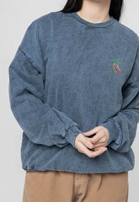 Blue sweatshirt with a relaxed fit, featuring ribbed cuffs and neckline. Embroidered chili pepper design on the left chest. Soft texture.
