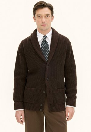 Mand iført en mørkebrun knappet cardigan over en hvid skjorte og mønstret slips, stående mod en ensfarvet lys baggrund.