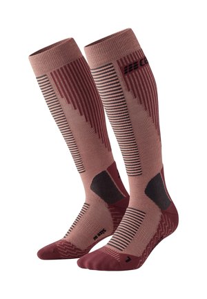 CEP KNEE HIGH COLD WEATHER V2  KOMPRESSION - MADE IN GERMANY - Kniestrümpfe - rose